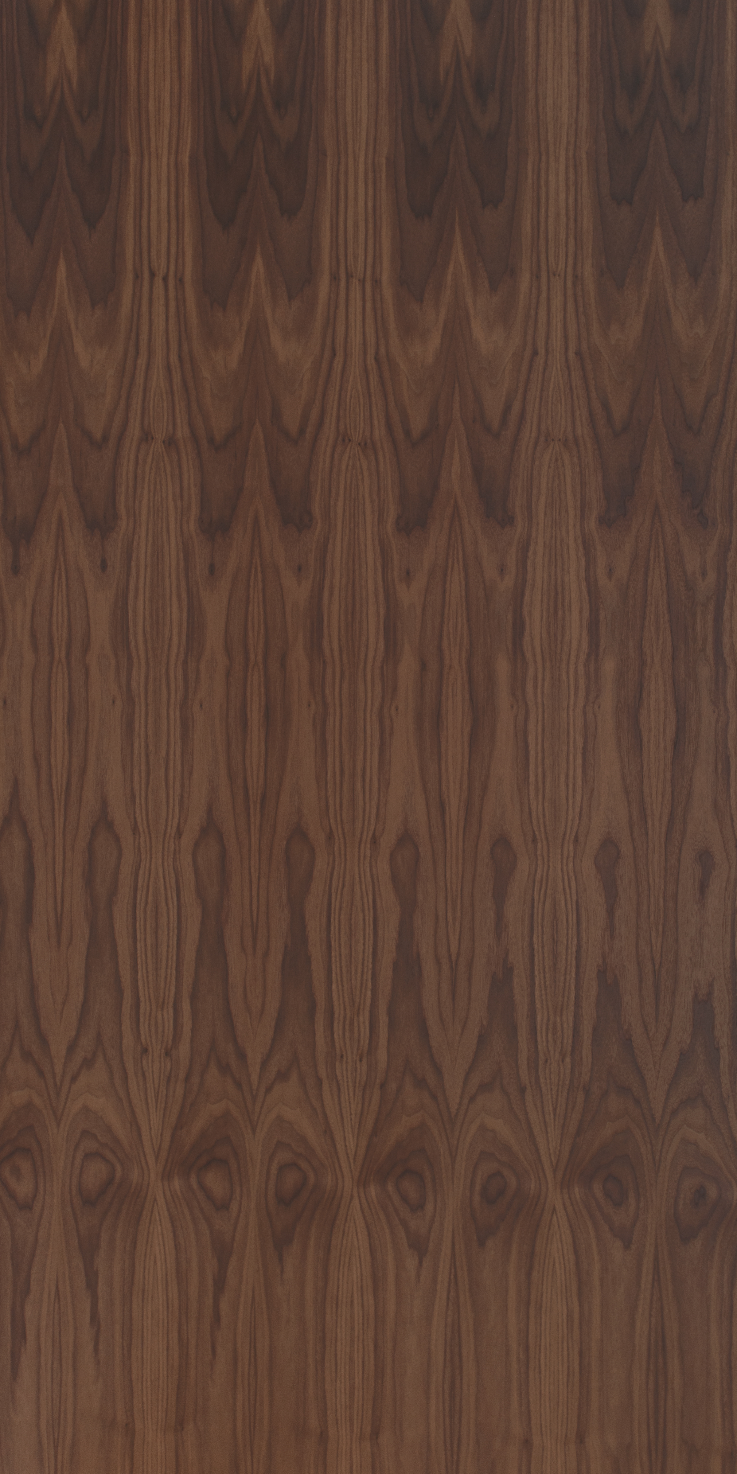 American Walnut Crown Cut