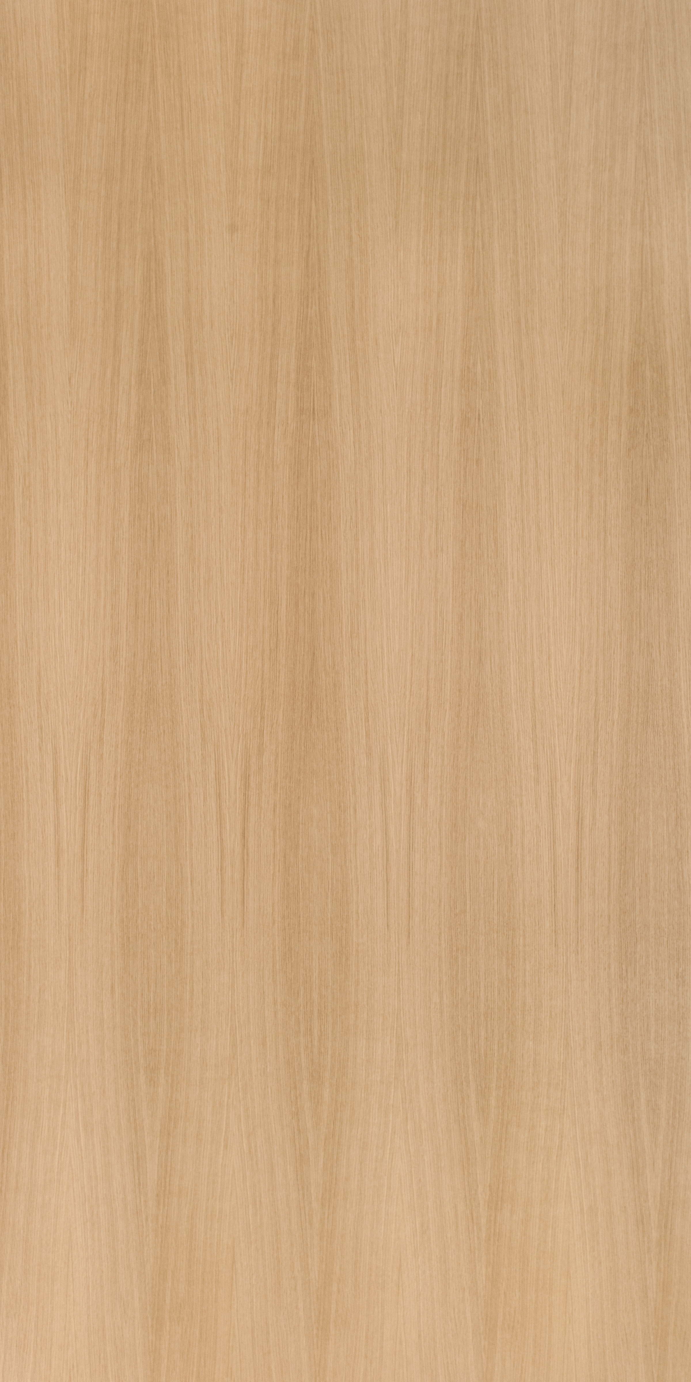 American White Oak Quarter Cut