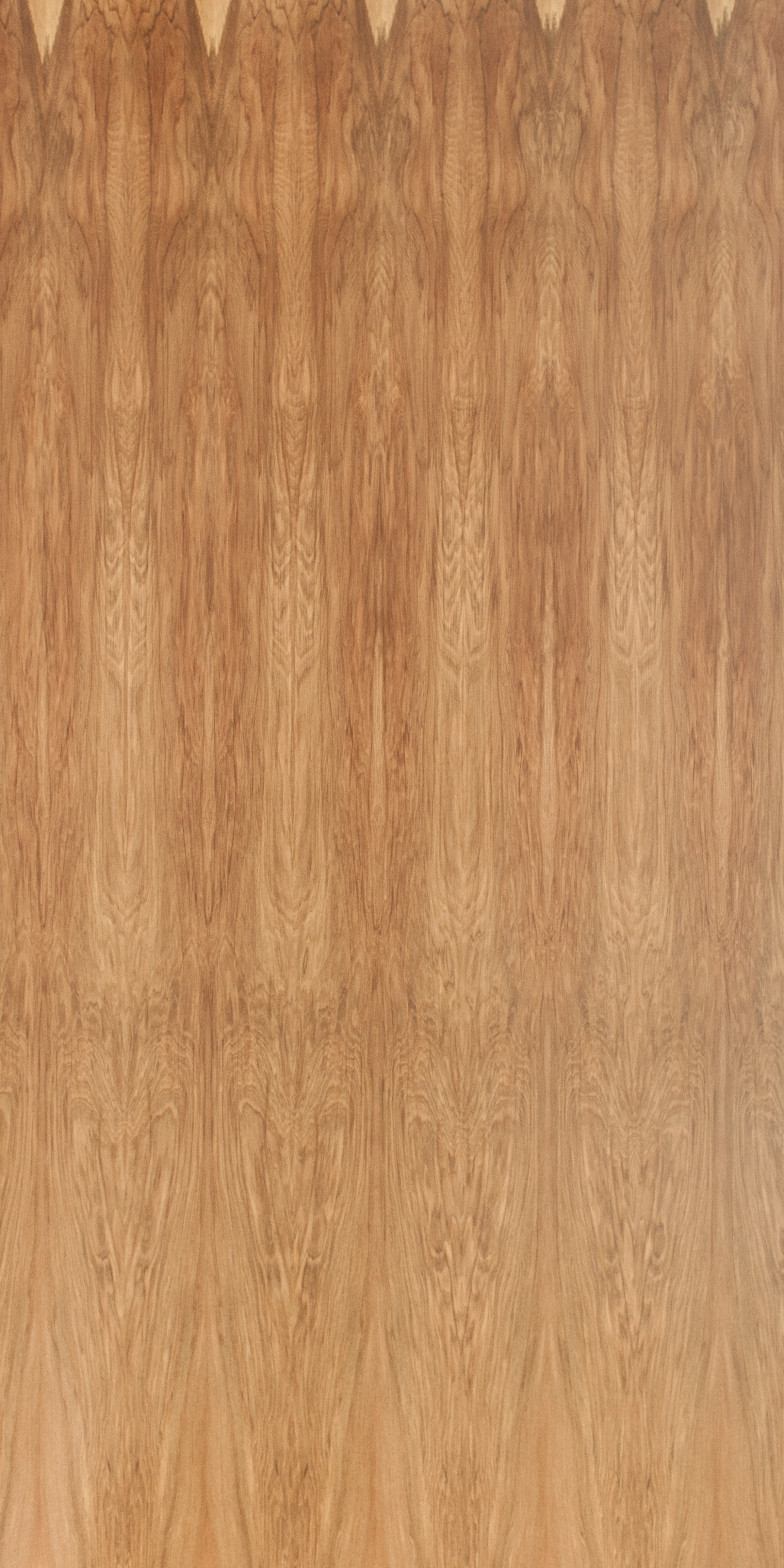 NZ Coloured Rimu