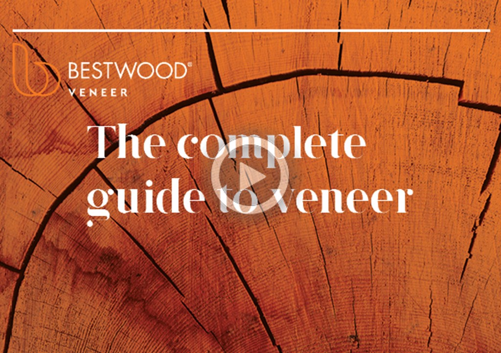 BW Complete guide to veneer.jpg