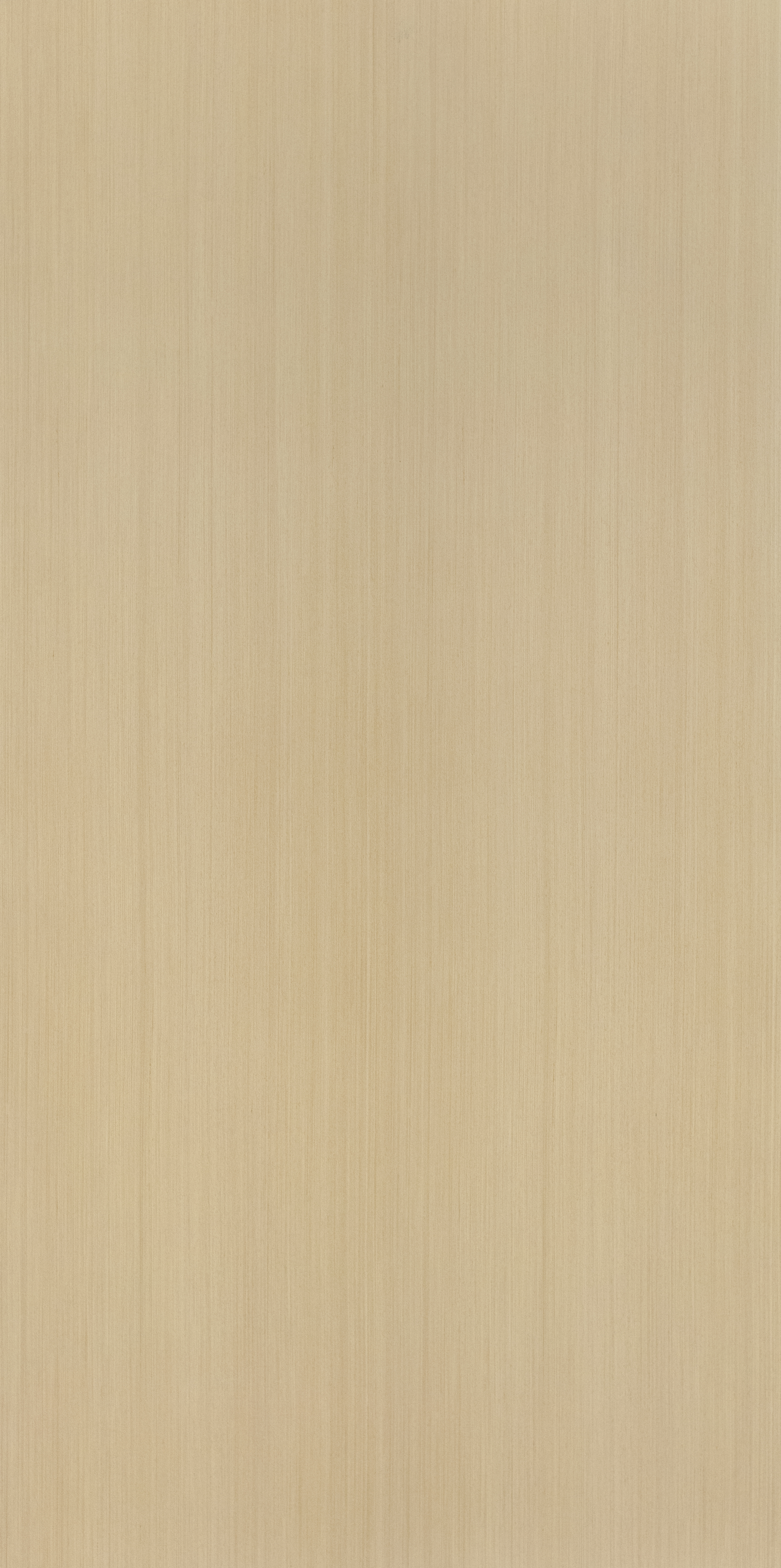 Evoake Quarter Cut